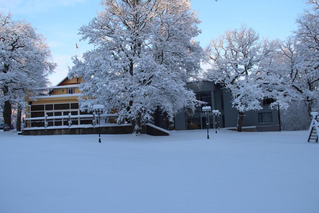 Villa Hotel Theresa Rakvere Kültér fotó